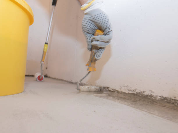 Best Termite Inspection and Treatment  in Greenfield, MN